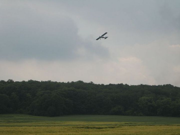 IMG_7564.JPG